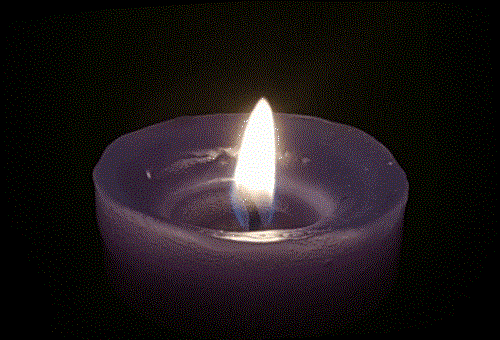 Octavio Aceves Death