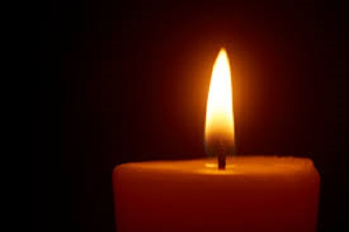 Tammi Terry Obituary