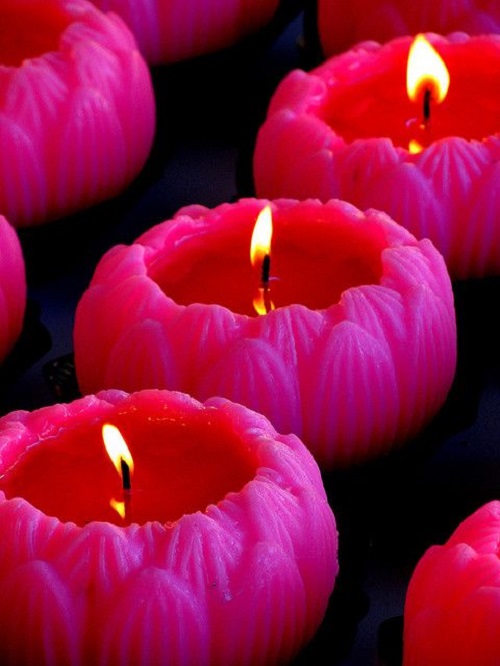 Elizabeth Hamrin Obituary