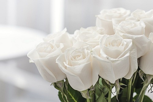 Rosana Wright Death