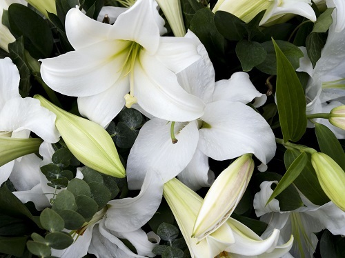 Amanda Philpot Death
